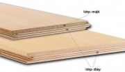 So sánh chi tiết sàn gỗ tự nhiên và sàn gỗ kỹ thuật Engineer