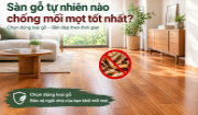 Top 5 sàn gỗ tự nhiên chống mối mọt tốt nhất Top 5 sàn gỗ tự nhiên chống mối mọt tốt nhất