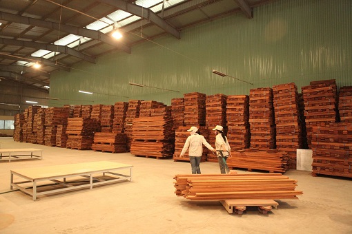 một số hình ảnh mới nhất tại nhà máy trực tiếp sản suất chế biến