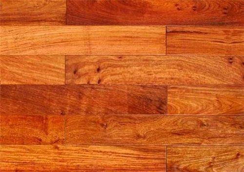 Gỗ Hương là gì? Có nên mua sàn gỗ Hương Lào cao cấp? Gỗ Hương là gì? Có nên mua sàn gỗ Hương Lào cao cấp?