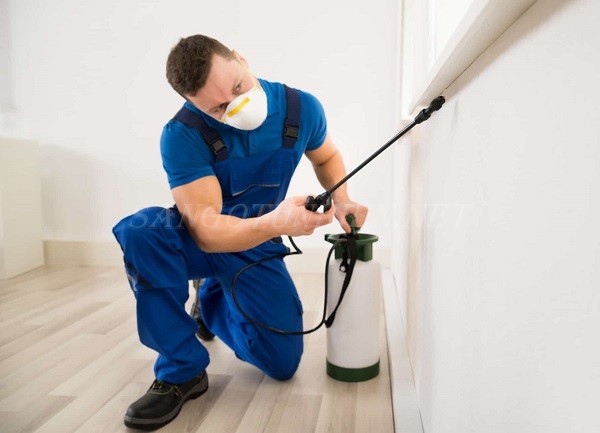 Cách sử dụng hóa chất một cách an toàn và hiệu quả