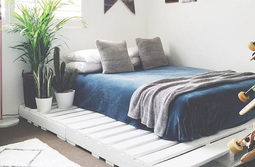 Giường pallet