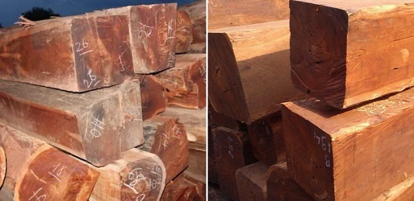 Gỗ Căm Xe nguyên khối