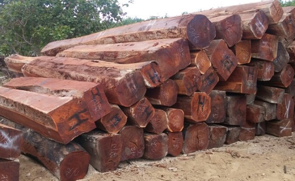 Gỗ căm xe xẻ vuông hộp