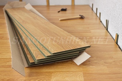Gỗ cốt xanh có độc hại không?