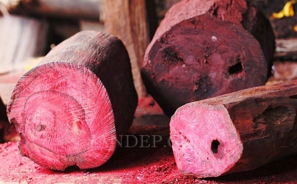 Gỗ Dalbergia (Hồng Mộc Brazil)