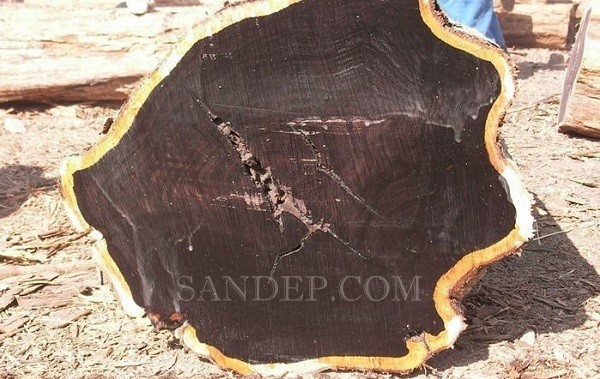 Gỗ Ebony (Mun Châu Phi, Ấn Độ)