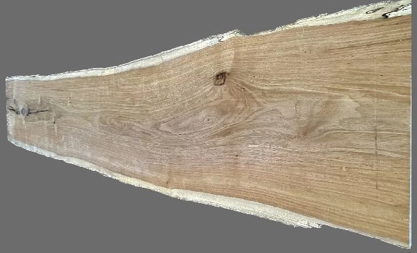Gỗ óc chó trắng