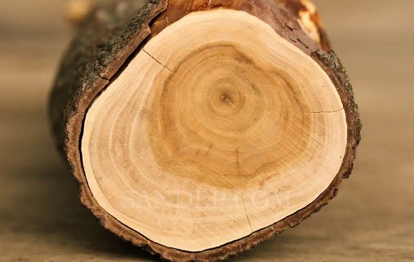 Gỗ Sandalwood (Gỗ Đàn Hương – Ấn Độ, Indonesia)