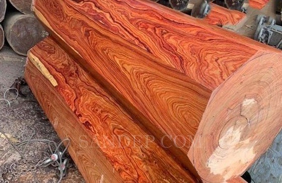 Gỗ Trắc – Loại gỗ cứng và nặng nhất