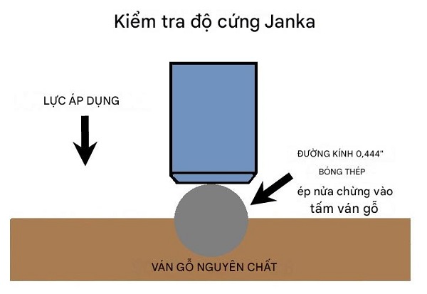 Kiểm tra độ cứng Janka