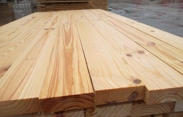 Mắt chết dác gỗ keo