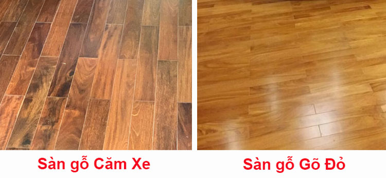 So sánh sàn gỗ Căm Xe và Gõ Đỏ