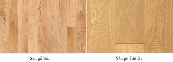 So sánh sàn gỗ Sồi và sàn gỗ Tần Bì
