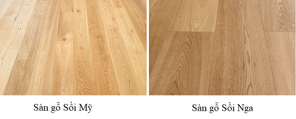  So sánh vân sàn gỗ Sồi Mỹ và sàn gỗ Sồi Nga